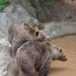 Zoo Plze�       7/2010