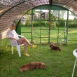 Pani�ka a kluci v na�em alt�nku         6.2010