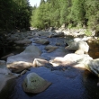 �eka Vydra     7/2010