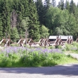 hradlov� most na Vyd�e        24.6.2012