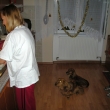 Kluci pom�haj� va�it ve�e�i   24.12.2008