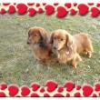 Mil��kov� :-) 04/08
