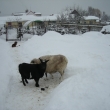 L�za, Ela a Filip        22.12.2010