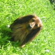 Art�k     20.6.09