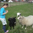 Nat�lka, Ad�la, L�za, Ela      11.4.2011