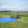 su�en� jetele     8/2011