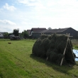 su�en� jetele     8/2011