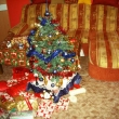 v�noce 2012