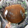 kyslelka pod Pansk�m vrchem     27.05.2012