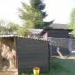 kurnk a bouda pro ovce                                       25.4.09