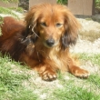 Filip     4/2011