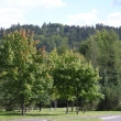 rozhledna Hamelika od hbitova ML          10.09.2012