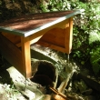 Srn�� pramen Mari�nsk� L�zn�       10.09.2012